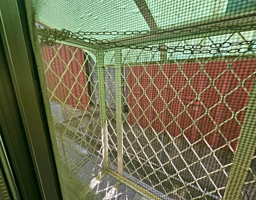 後山埤❣️採光通風衛浴窗、家具齊全、獨曬、便宜首選！包水網路 - Image 8