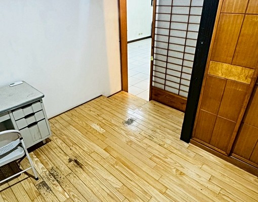 🦋毛孩家長看過來🐈忠孝夜市興大商圈📍近五權車站✨含車位 - Image 5