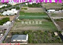 安定區-海寮土地，973.4坪