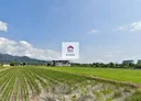 三星鄉-八王城段土地，904.6坪