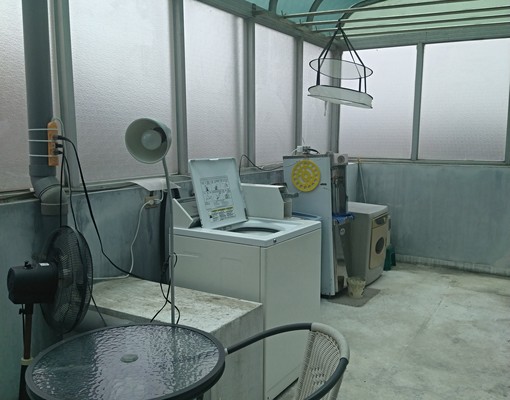 光復路一段163巷套房近介壽路台積力晶聯電明泰 - Image 7