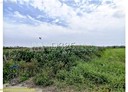 七股區-十一份段土地，416.8坪