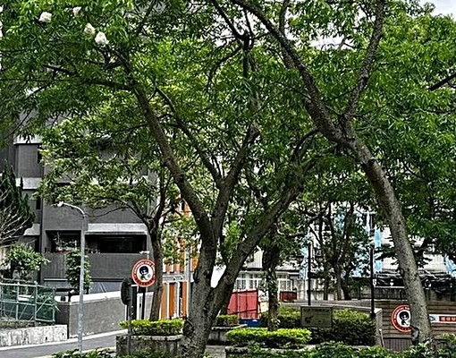 近美國在台協會,湖光市場,三總 - Image 2
