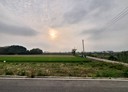 善化區-土地，368.4坪