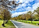 花蓮市-石壁段土地，253坪