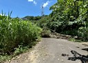 竹東鎮-柯子湖段土地，138.2坪
