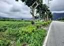 吉安鄉-草芬段土地，1184坪