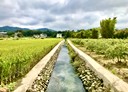 竹東鎮-土地，303坪