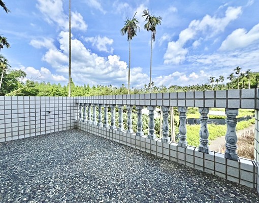 大雅路邊間別墅-🔸4房5衛~間間大套房/車庫/採光風景極美 - Image 14