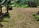 蘆竹區-大新路土地，543.6坪