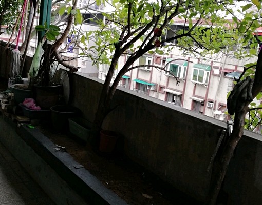 政大出租套房，簡單清淨，樓上一共只住2個人，樓下就是公車站牌 - Image 1