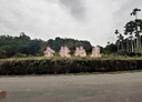 瑞穗鄉-土地，666.8坪