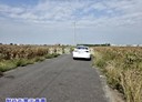 學甲區-土地，394.2坪