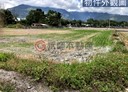 池上鄉-土地，1064.3坪