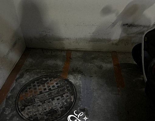 🍎光明商圈樓中樓套房/台電台水 - Image 14