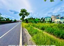 內埔鄉-土地，105.9坪