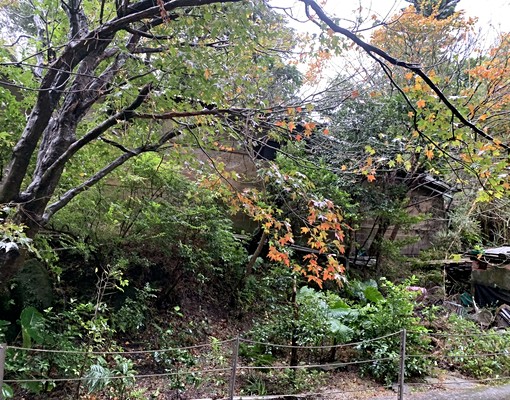 景觀套房有大眾及私人湯屋前山公園是鄰居 - Image 4