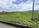 蘇澳鎮-土地，706坪