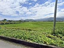 台屋ㄚ雅_蘇澳大面寬💯資深..