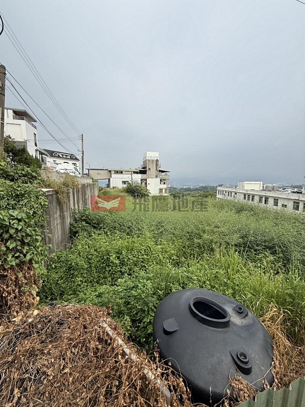 照片