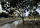 大里區-西村路其他，7.3坪