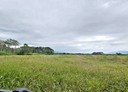鳳林鎮-鳳信段土地，1058坪