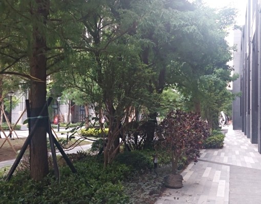 大降價竹科潤隆近園區好市多三房平車傢俱家電齊全含網路 - Image 25