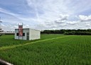 草屯鎮-碧興路二段土地，383坪