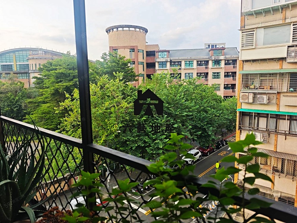 照片