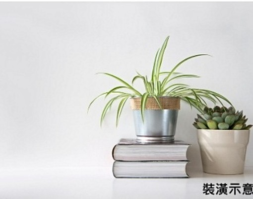 🔅小資最愛-二房好選擇，通風採光Good🔅 - Image 7