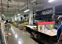 小港區-東林路廠房，435坪