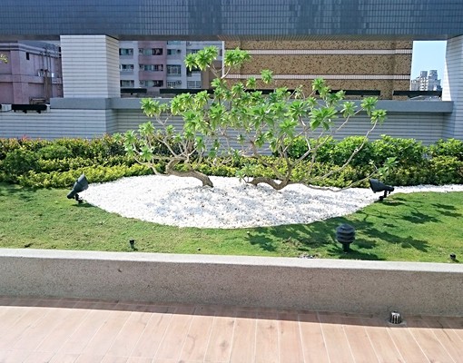 🍎漢神巨蛋✨R14捷運⭐水丰尚⭐稀有美大2房 - Image 14