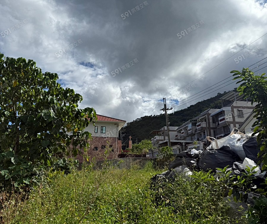 泰安觀止實景圖