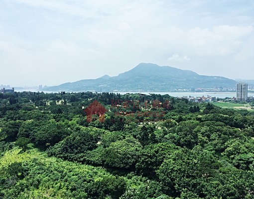 獨家專租|台北灣山河海裝潢景觀大邸|可短租|渡假旅遊|商務 - Image 2