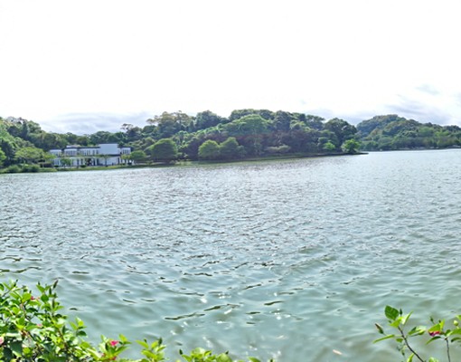 內湖港墘737-雅房共生宅(限女性) - Image 10