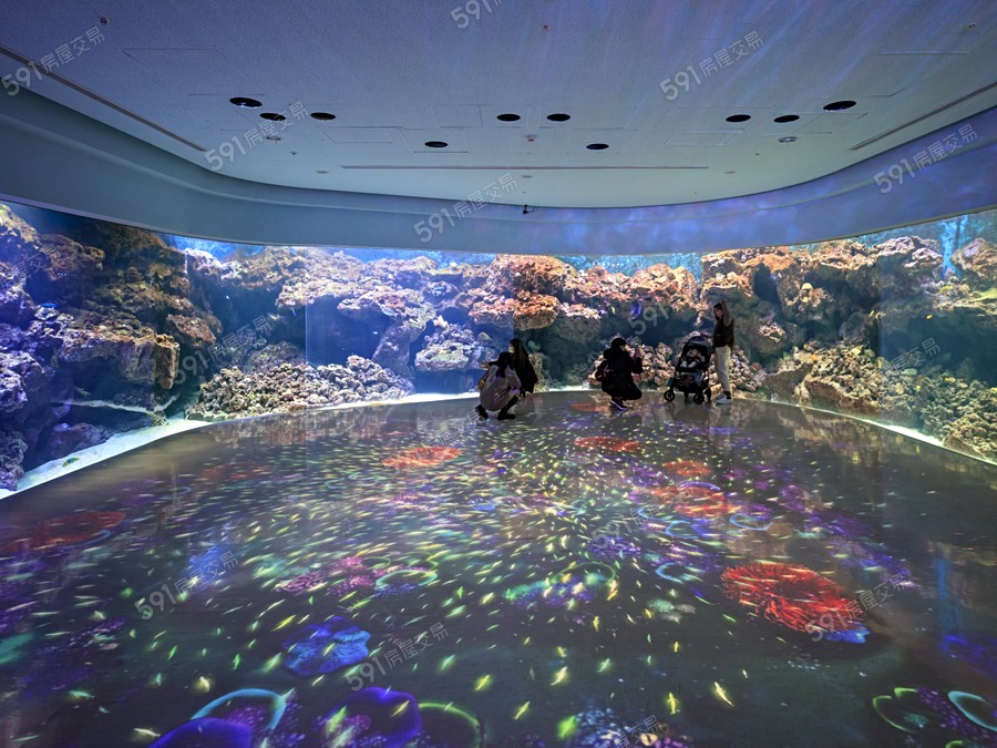 鴻踞樸藝環境圖