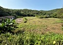 通霄鎮-土地,8951.6坪