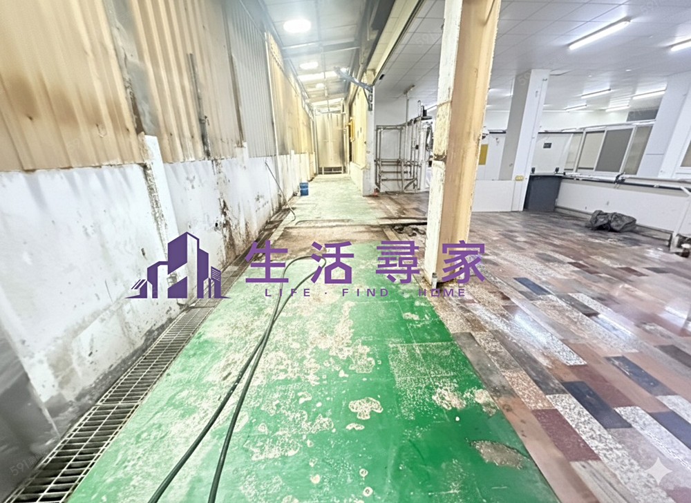 照片