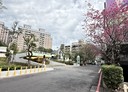 樹林區-樹德街3房1廳，27坪