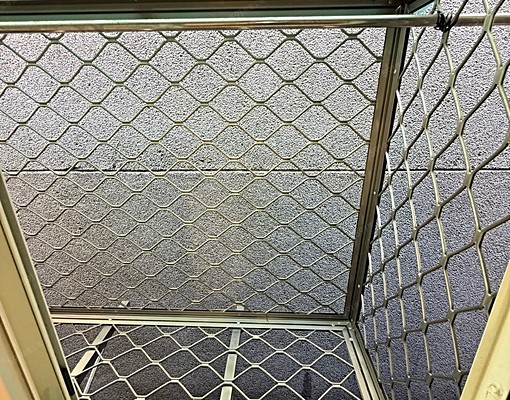近大橋頭站可談租補可寵物新整理二房大空間可代收垃圾免爬高 - Image 14
