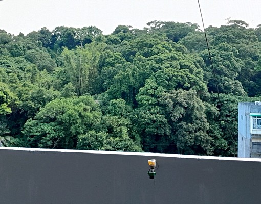 金龍路景觀佳，碧湖國小對面， - Image 5
