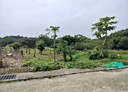 三灣鄉-灣銅段土地,1122坪
