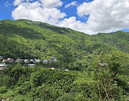 “鄰近溪頭三合院,退休養生好宅,一房二廳有停車場” - Image 11
