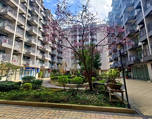 可租補🤩淡大101社區6樓套房!有個人陽台!浴室有對外窗 - Image 13