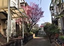 林口區-忠孝路其他，73坪