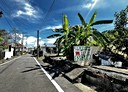 斗六市-土地，87.7坪