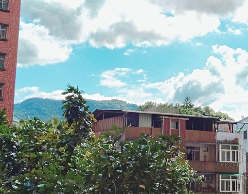 土城永寧站600米共生房兩間房間出租拎包入住好環境 - Image 13