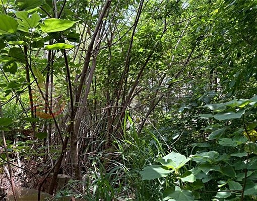 地產專線🧭北勢國中方正建地