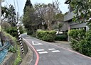 觀音區-土地，98.2坪