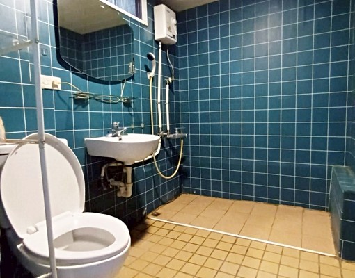 美麗島出站🔥可貓🔥電梯子母車🔥獨洗陽台🔥可工作室 - Image 10